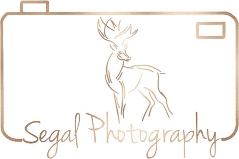 Segal Photography